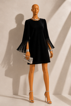 Rosamee Fringe Trim Sleeve Mini Dress in Black