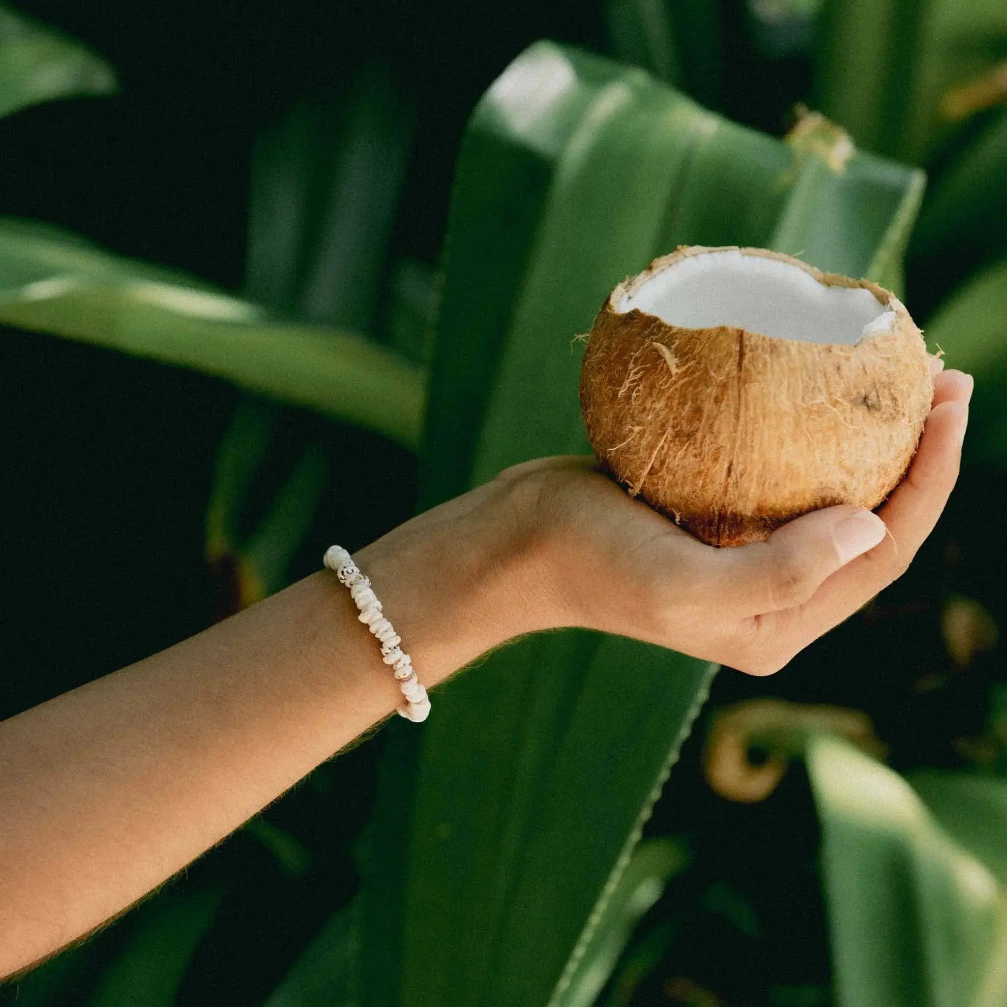 Enu Island Shell Bracelet