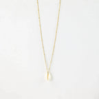 Cowrie Shell Chain Necklace