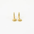 Sun Hoop Waterproof Earrings